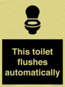 this-toilet-flushes-automatically~